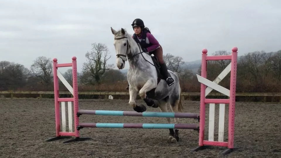 Hillocks Farm Equestrian