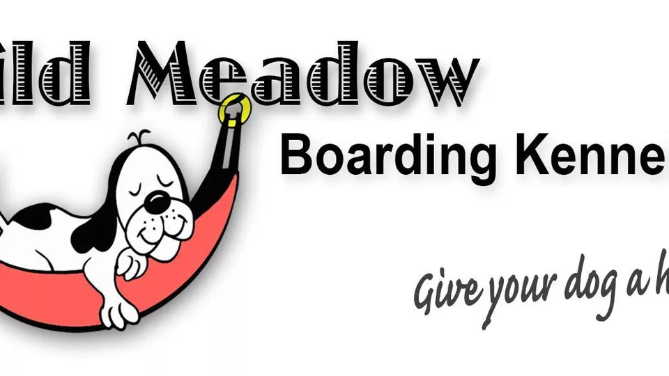 Wild Meadow Boarding Kennels