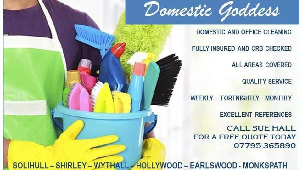 Domestic Goddess Home Services