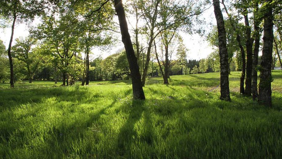 Lodge Coppice Caravan Park