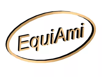 EquiAmi Ltd