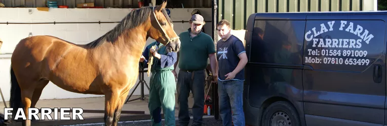 Clay Farm Farrier Service