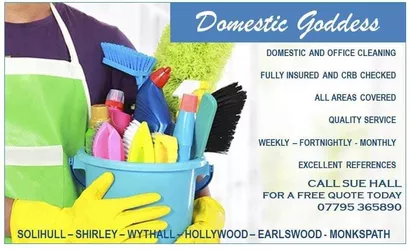 Domestic Goddess Home Services