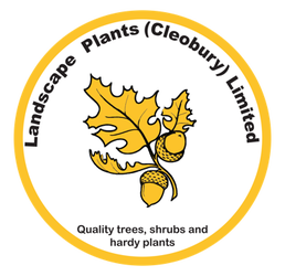 Landscape Plants (Cleobury ) Ltd